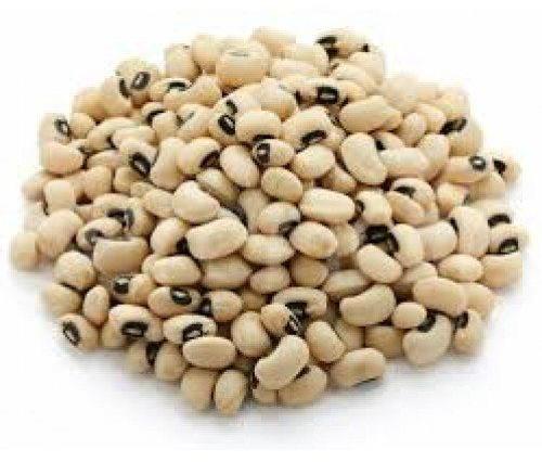 White Organic Cow Pea Beans, for Cooking, Grade Standard : Food Grade