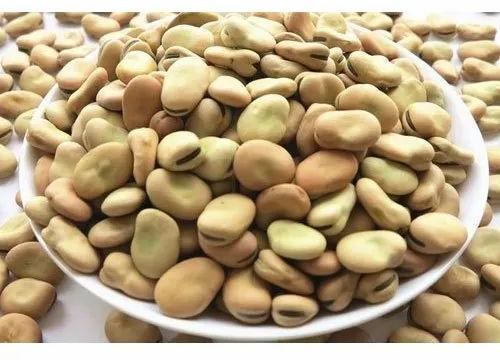 Organic Fava Beans, Packaging Type : Plastic Bag