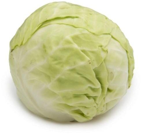 Green Round Organic Fresh Cabbage, for Human Consumption, Cooking, Hotels, Packaging Size : 25kg