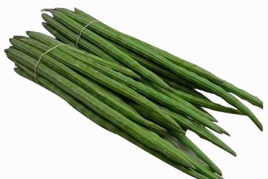 Green Organic Fresh Drumstick, for Cooking, Packaging Type : Gunny Bag
