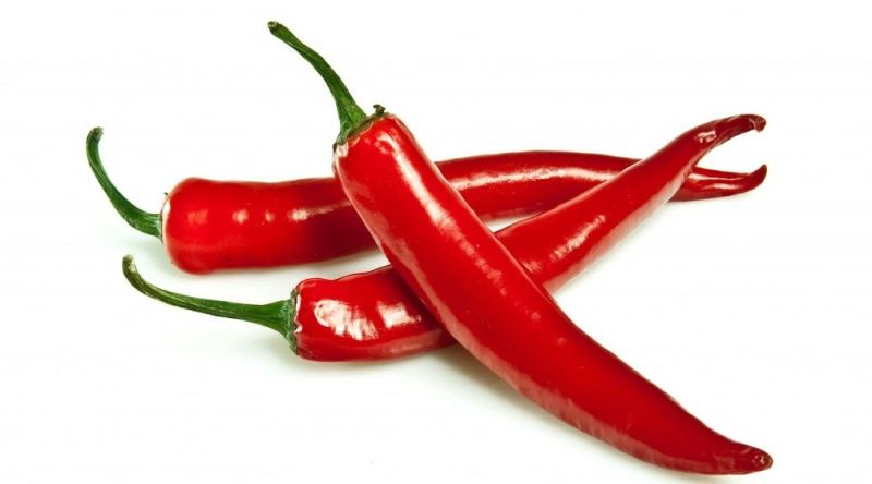 Organic Fresh Red Chilli, for Food, Making Pickles, Feature : Purity