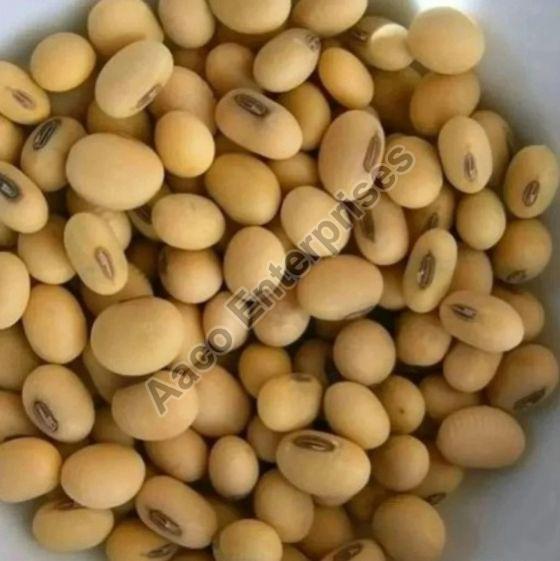 Organic Soya Beans, Style : Dried