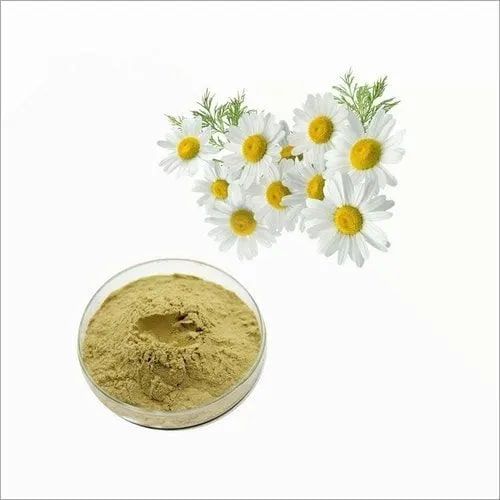 Chamomile Extract, Packaging Size : 5 Kg
