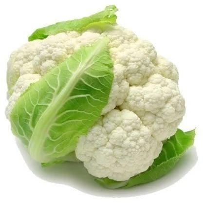 Round Organic Fresh Cauliflower, for Cooking, Color : White