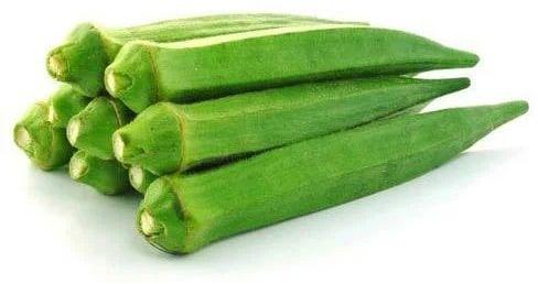 Organic Fresh Okra, for Cooking, Color : Green