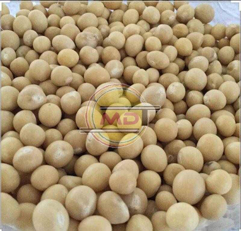 Common Bambara Beans, for Agriculture Use, Feature : High In Protein