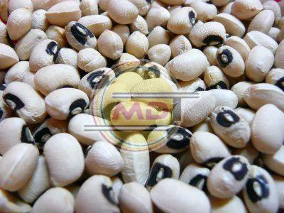 Common Black Eyed Peas, for Cooking, Style : Dried