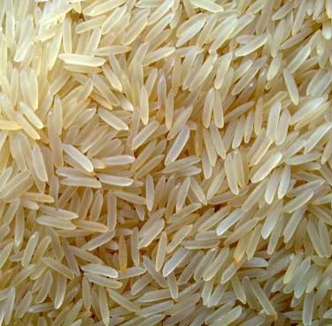 Organic Sella Basmati Rice, for Cooking, Color : Golden