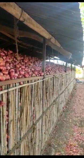 Common Nashik stock quality onion, for Cooking, Human Consumption, Spices, Feature : Natural Taste