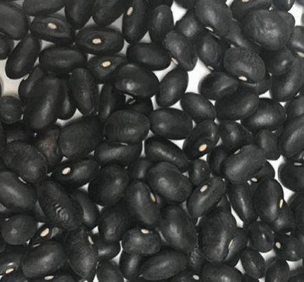 Organic Black Kidney Beans, for Cooking, Certification : FSSAI Certified