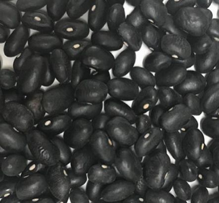 Black Kidney Beans