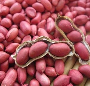 Red Skin Peanuts, Type:Natural