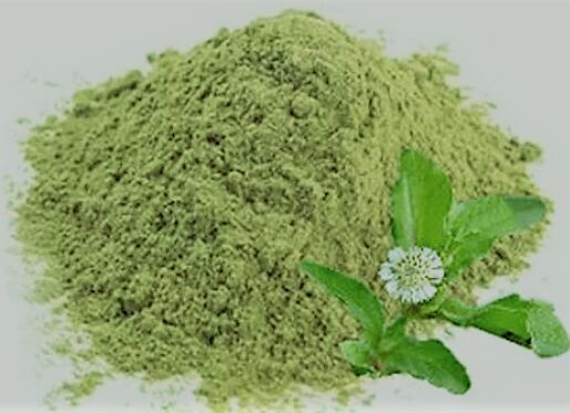 Bhringraj Powder, For Medicinal Use, Grade : Cosmetic Grade