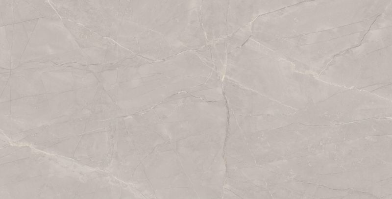 810014 Armani Grey Polished Tiles