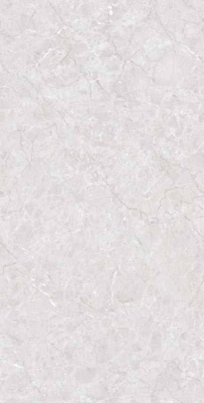 815036 Lisa Silver Polished Tiles