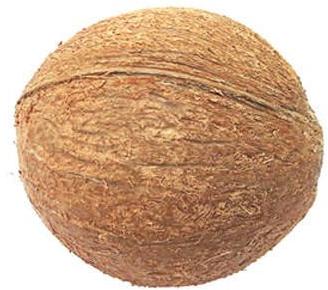 Hard Organic Fully Husked Coconut, For Pooja, Medicines, Color : Brown