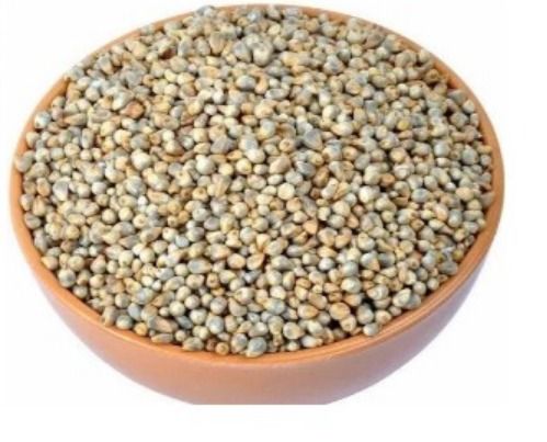 Pearl millet, for Cattle Feed, Cooking, Style : Dried