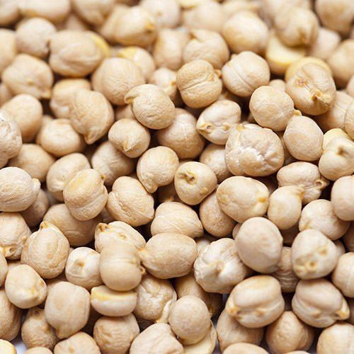 Natural White Chickpea, Style : Dried
