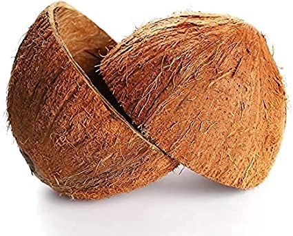 Coconut Shells, for Handicraft, Style : Dried