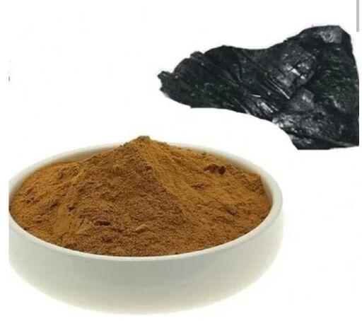 Herbo Nutra Shilajeet Powder, Packaging Type : Packet