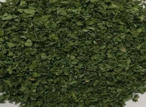 Organic Dried Fenugreek Leaves, for Cooking, Spices, Food Medicine, Color : Green