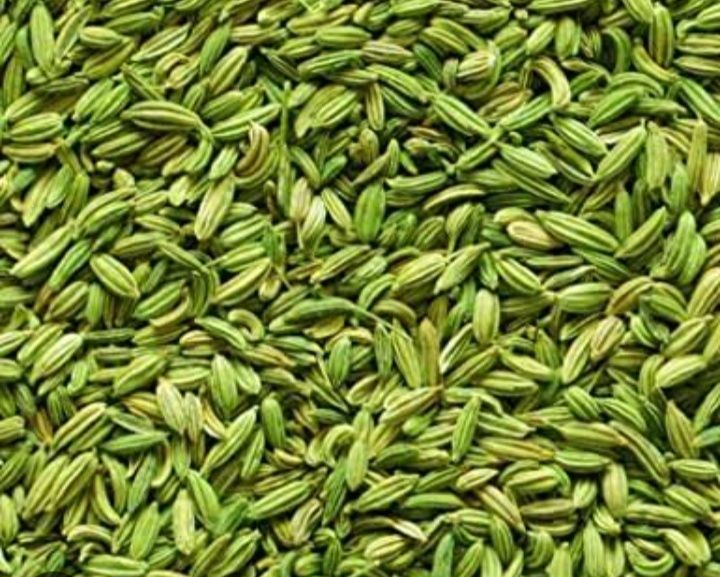 Organic Raw Fennel Seeds, for Cooking, Spices, Food Medicine, Color : Green