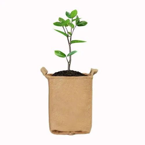 Jute Plant Grow Bag