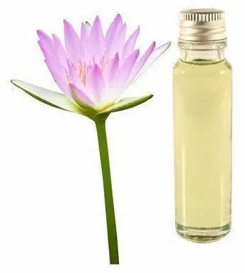 Lotus Essential Oil, Packaging Type : Glass bottle