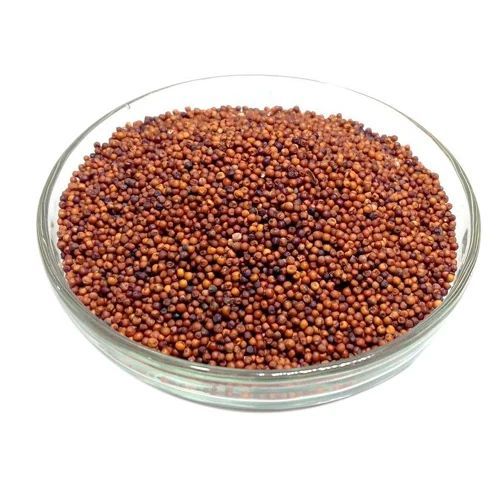 Millet Seeds, for Cooking, Cattle Feed, Packaging Type : Plastic Bag