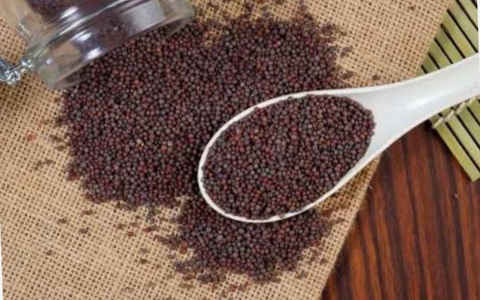 Organic Mustard Seeds, for Cosmetics, Food Medicine, Spices, Cooking, Color : Dark Brown