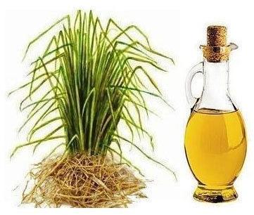 Vetiver Essential Oil, for Perfumery, Fine Cosmetics, Aromatherapy, Purity : 100% Natural
