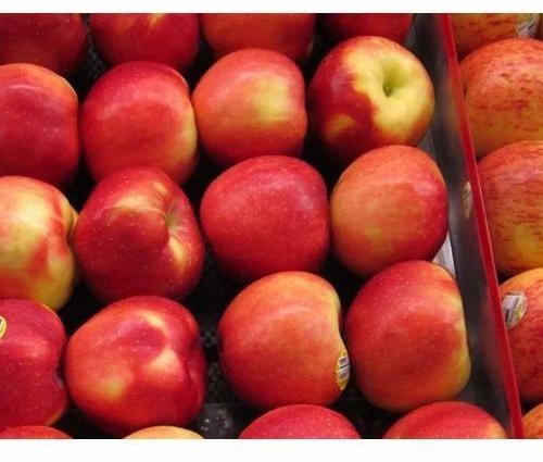 Organic Fresh Apple, for Food Medicine, Human Consumption, Packaging Size : 5kg, 10kg, 15kg, 20kg