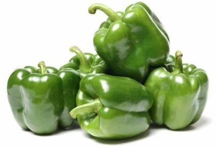Green Round Fresh Capsicum, for Cooking, Packaging Size : 20 Kg