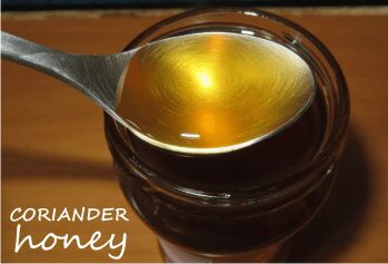 Coriander honey, Feature : Freshness, Healthy, Pure