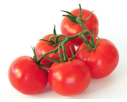 Organic Fresh Natural Tomato, for Cooking