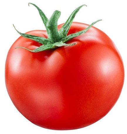 Fresh Red Tomato