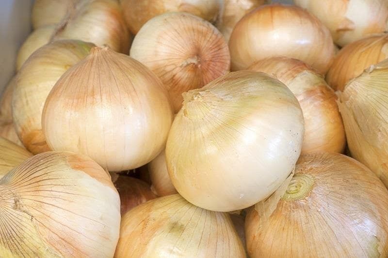 Creamy Round Organic Fresh Sweet Onion, Style : Natural