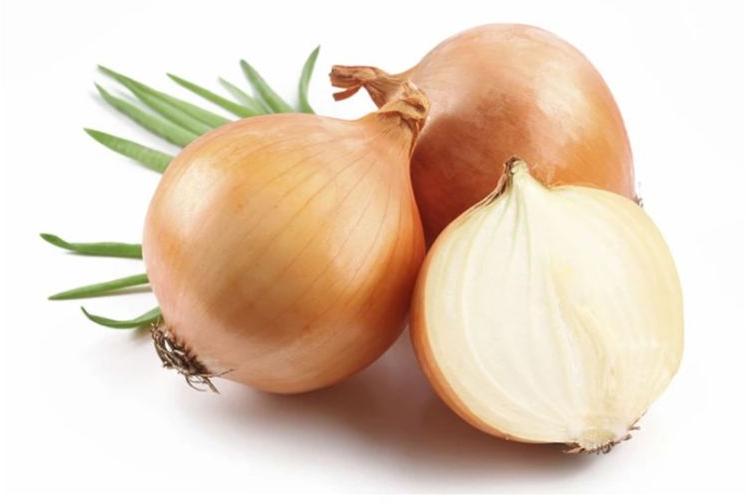 Round Organic Fresh Yellow Onion, Style : Natural