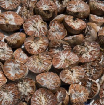  Organic betel nuts, Shelf Life : 12 Months