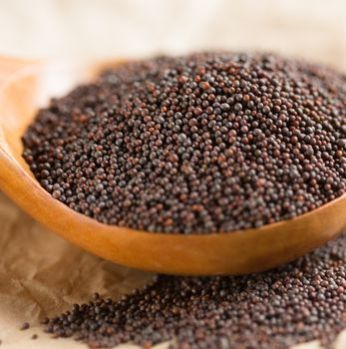Spice Sorcery Raw Organic Mustard Seeds, for Cooking, Certification : FSSAI Certified
