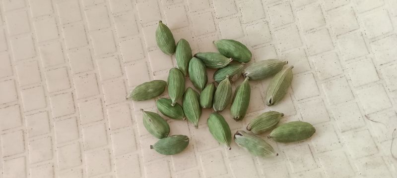 Natural cardamom, for Spices, Cooking