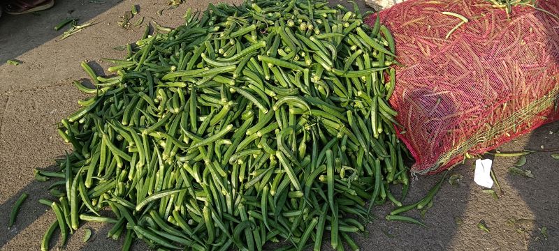 green chilli