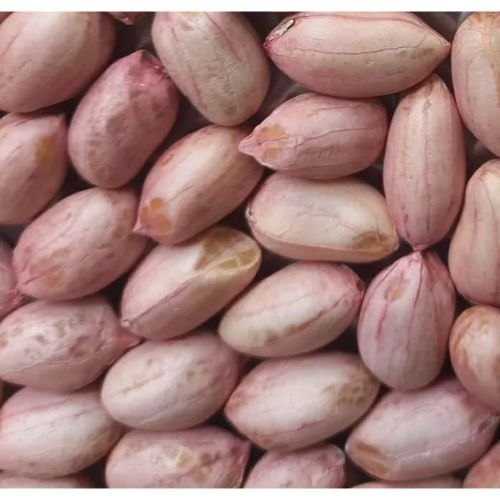 Kadhiri Lepakshi K1812 Groundnut Seeds, Style : Raw