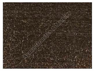 Black Rectangular Polished Coral Reef Marble Slab, For Construction, Size : Standard