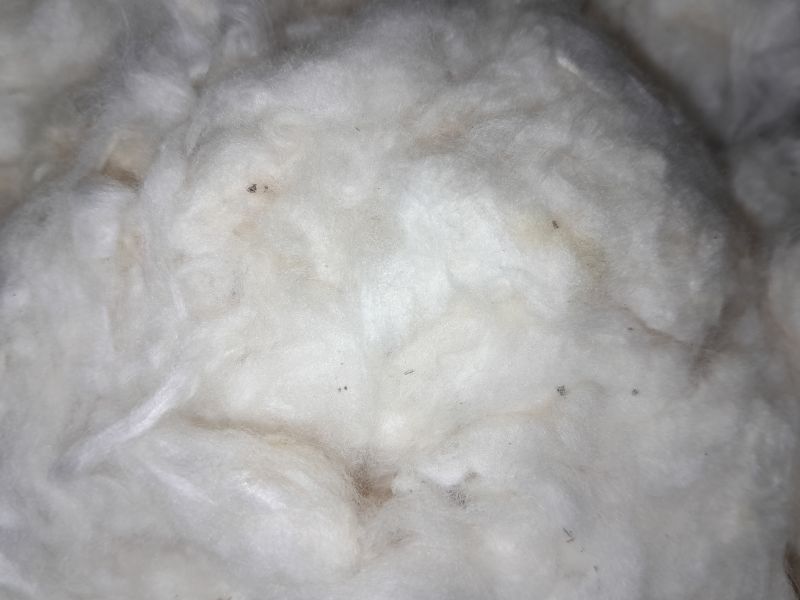 Raw Cotton Bale