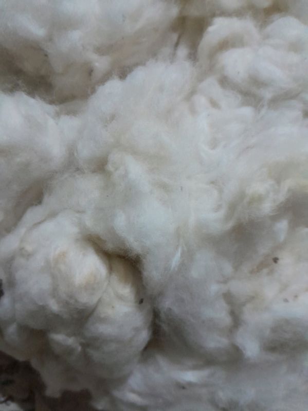 White Raw Cotton Bale, for Spinning making Yarn at Rs 165 / Kilograms ...