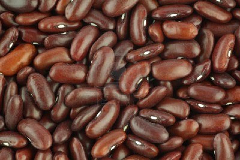 Organic Brown Kidney Beans, Packaging Type : Plastic Packet