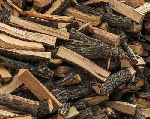 Oak Firewood, for Burning Use, Fuel Purpose, Length : 25-30cm