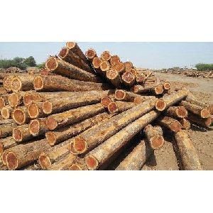 Pine Wood Logs