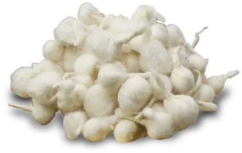 White Round Cotton Wick, for Pooja, Feature : Eco Friendly, Softness